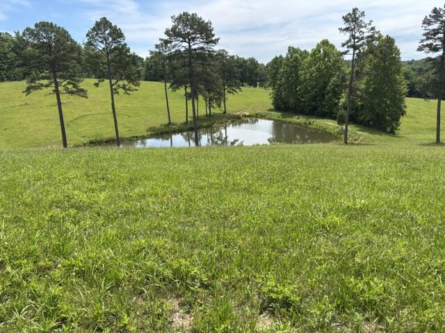 1398 Begley Road South McKee, KY 40447 - Photo 4 of 12 4