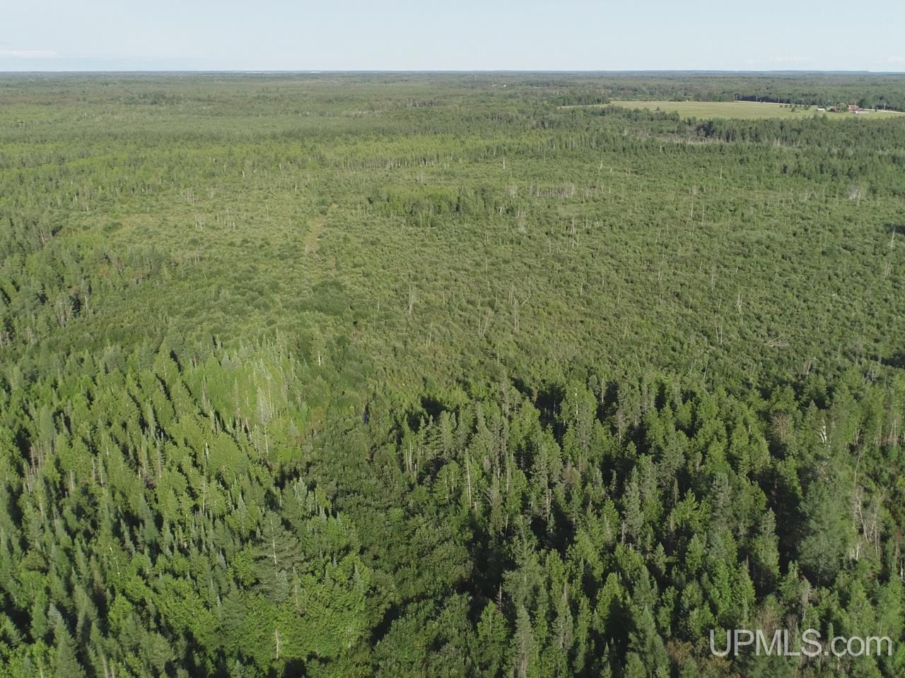 332-acres River Road Gulliver, MI 49840 - Photo 14 of 14