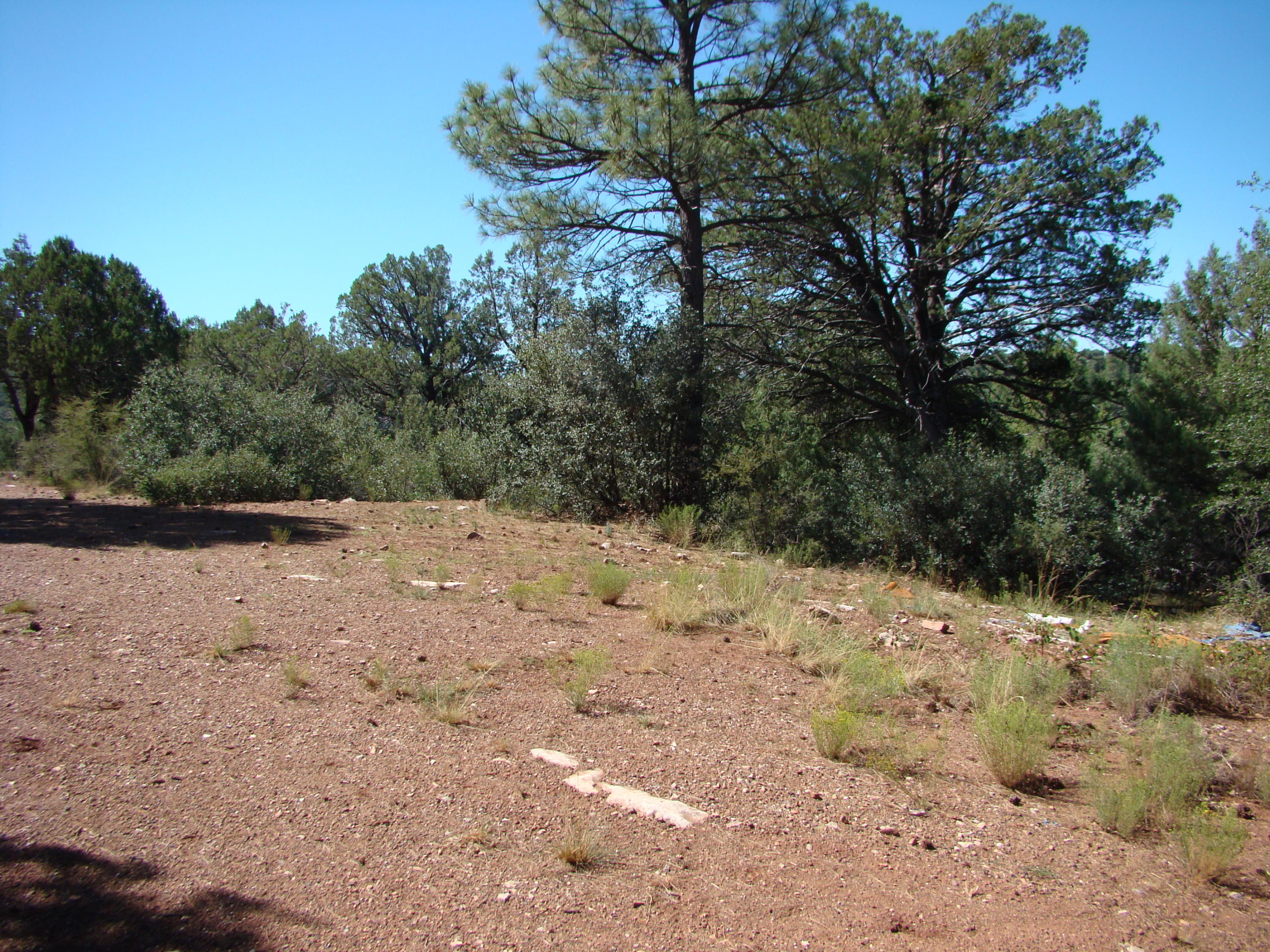 17033 Fire Control Road Payson, AZ 85541 - Photo 8 of 28