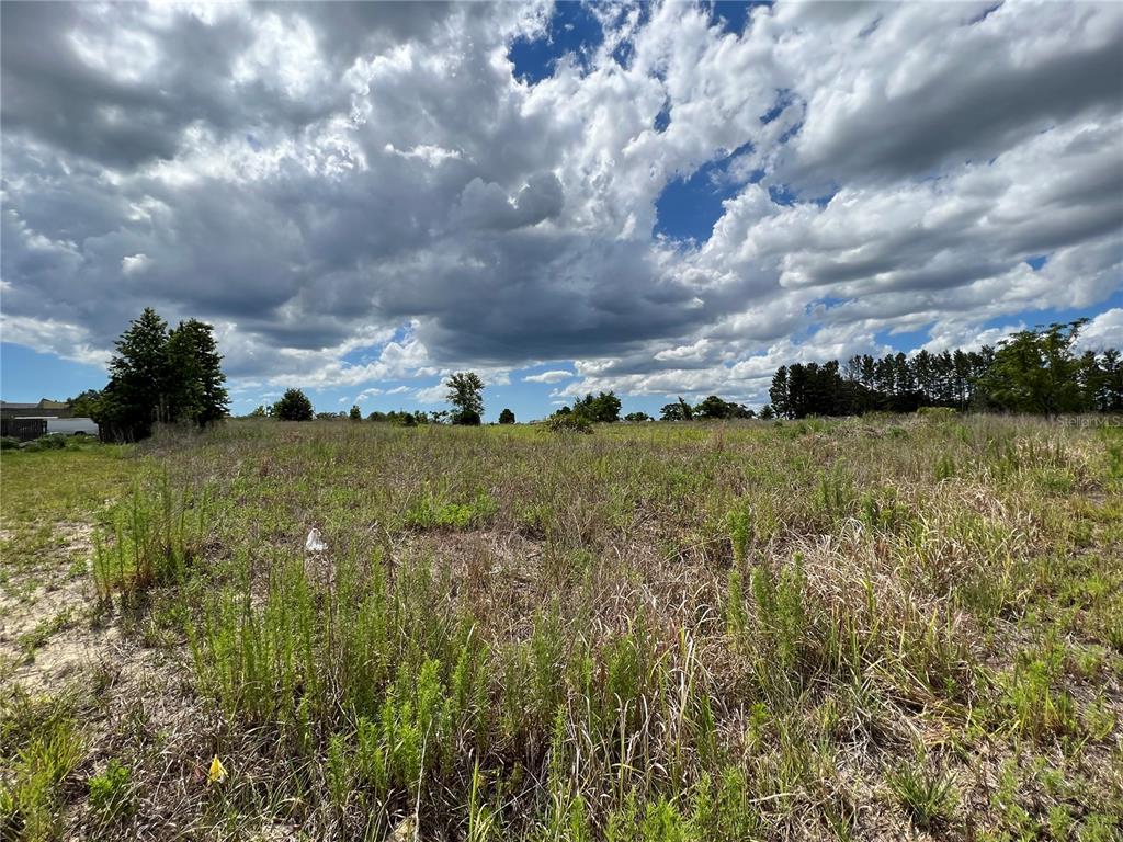 11189 Eskimo Curlew Road Weeki Wachee, FL 34614 - Photo 1 of 1 1. From the Left Looking Right