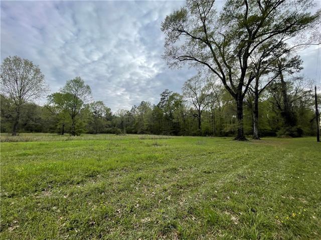 Tbd Smetak Road Deville, LA 71328 - Photo 4 of 10 Gallery Image 4
