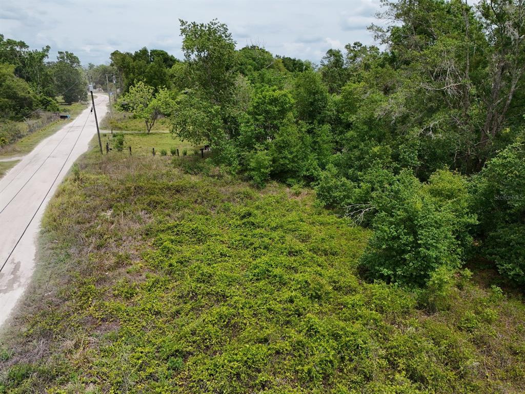 Valencia Dr Spring Hill Spring Hill, FL 34610 - Photo 9 of 9 Gallery Image 9