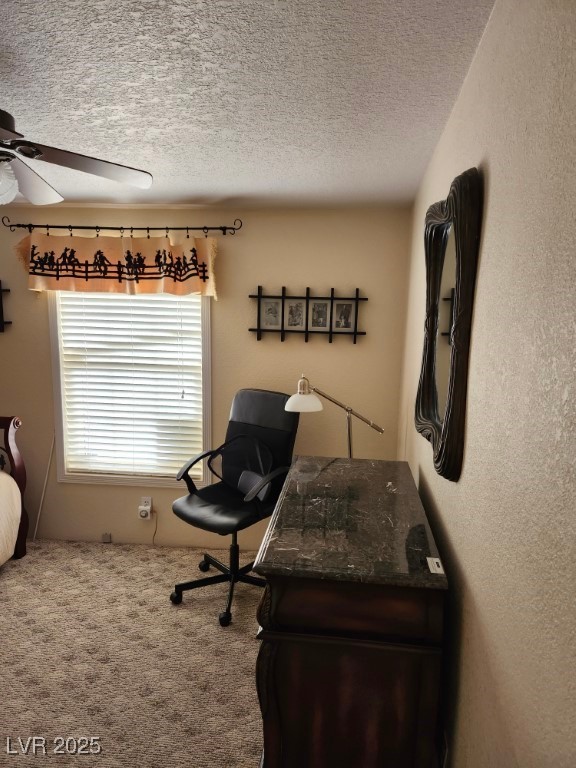 955 West Hobson Street Searchlight, NV 89046 - Photo 17 of 34