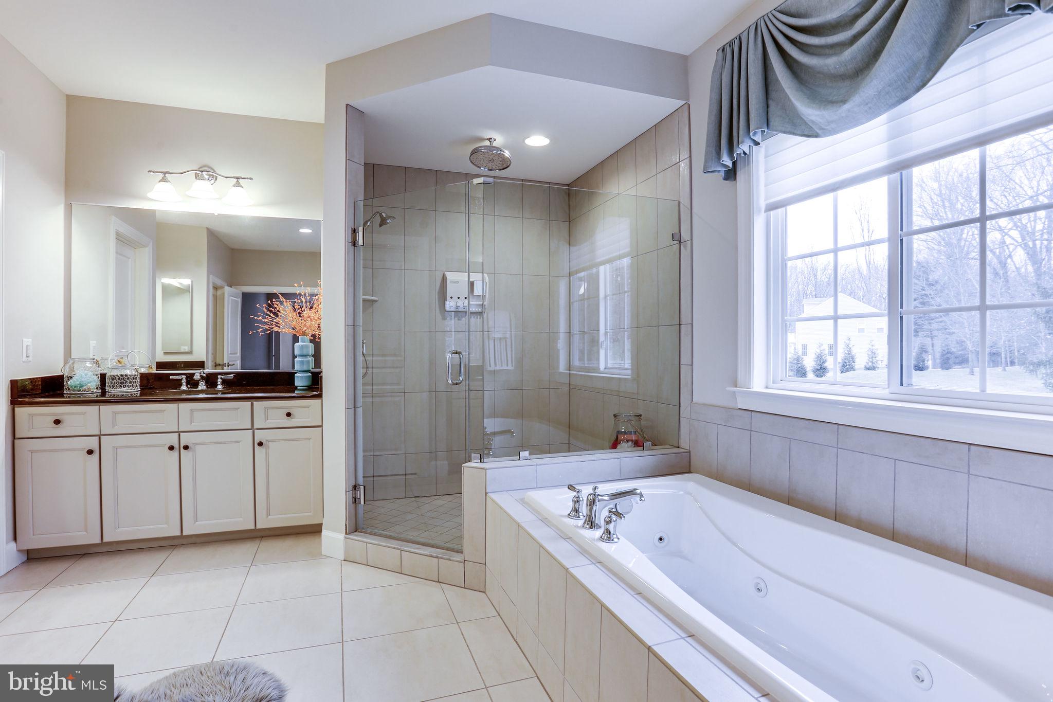 1303 Scotts Run Road McLean, VA 22102 - Photo 63 of 113 Gallery Image 63