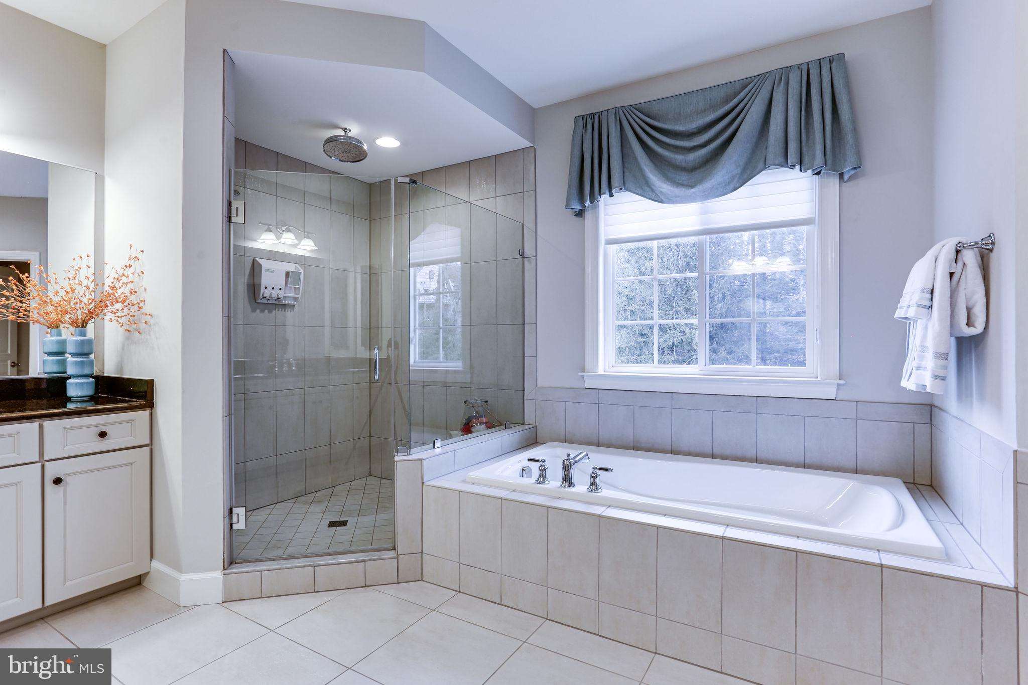 1303 Scotts Run Road McLean, VA 22102 - Photo 65 of 113 Gallery Image 65