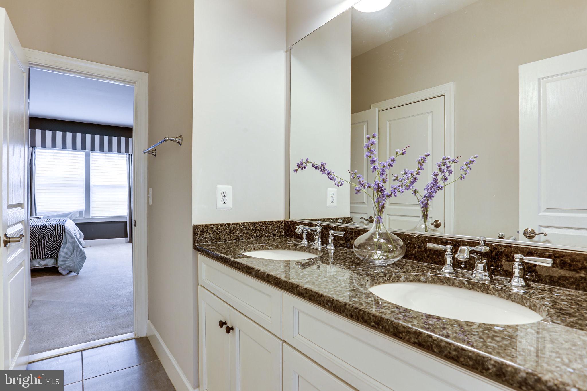 1303 Scotts Run Road McLean, VA 22102 - Photo 77 of 113 Gallery Image 77