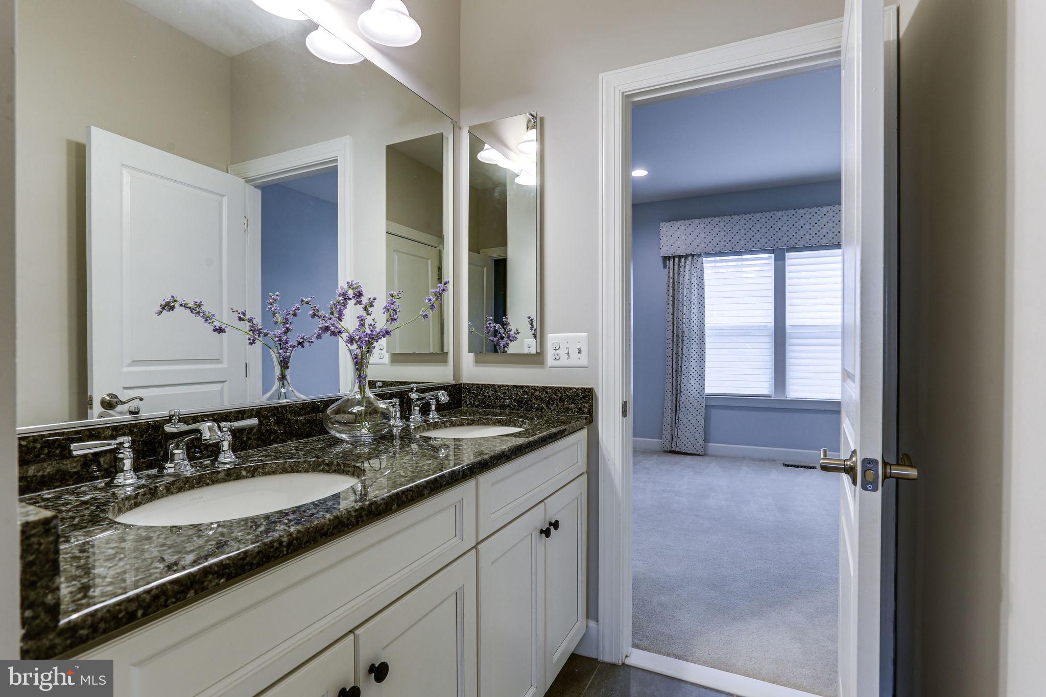 1303 Scotts Run Road McLean, VA 22102 - Photo 78 of 113 Gallery Image 78