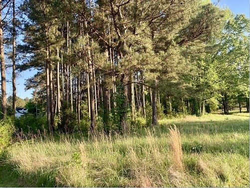 1920 Southeast Hunt Road Cleveland, TN 37323 - Photo 2 of 2