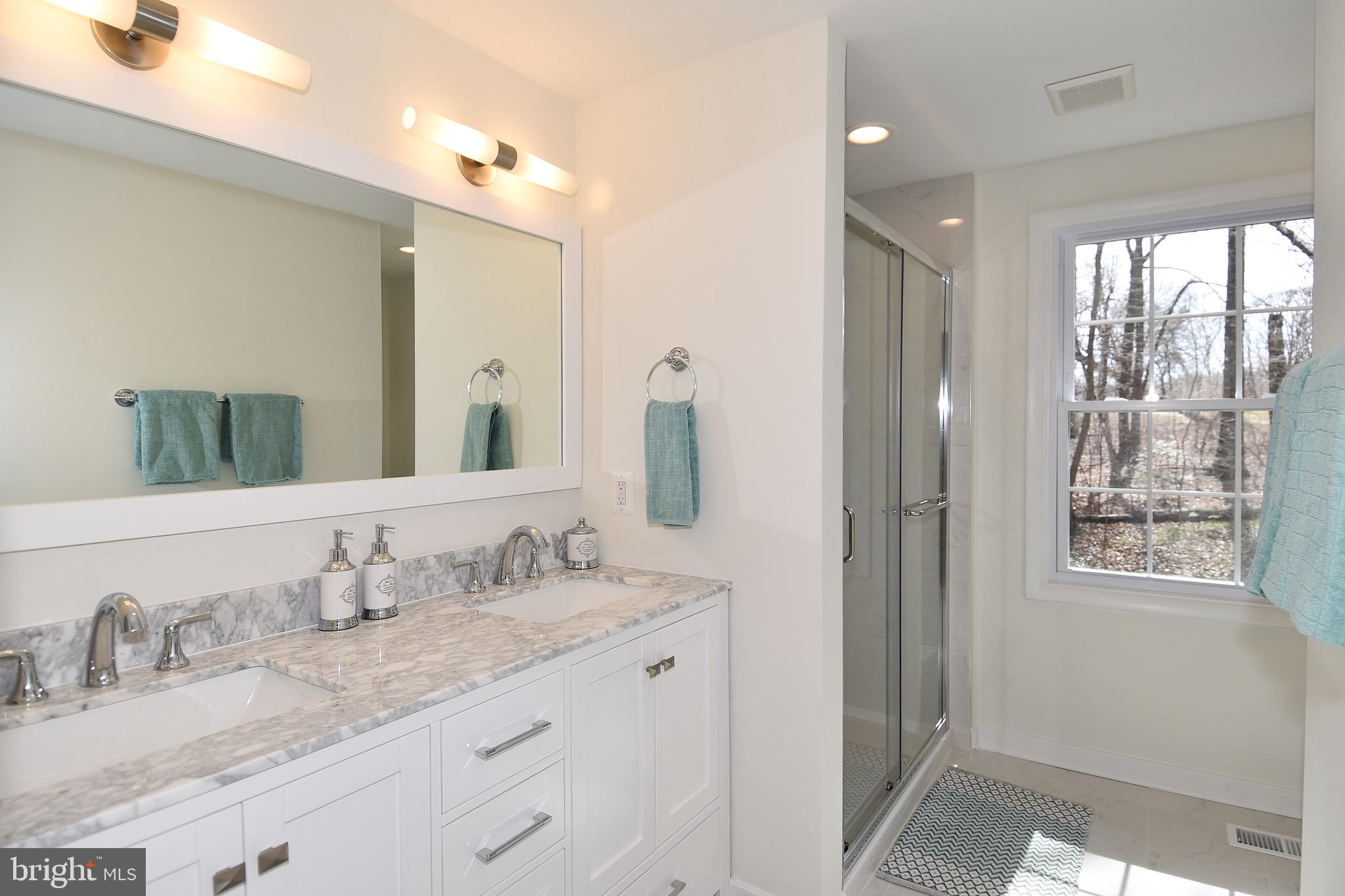 503 Burning Tree Circle Arnold, MD 21012 - Photo 23 of 39 Luxury ensuite master bathroom