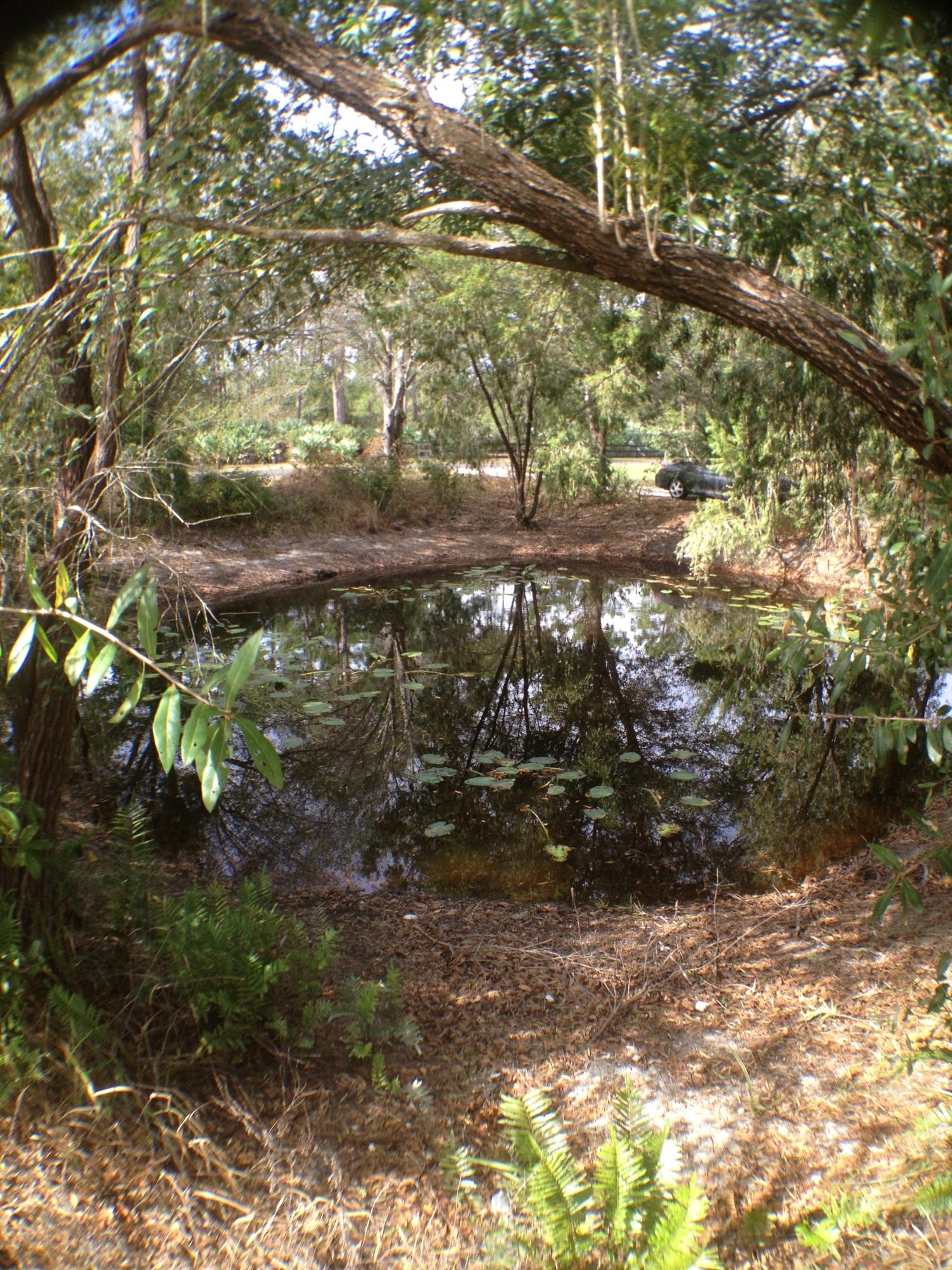 2380 Jernigan Road Fort Pierce, FL 34945 - Photo 21 of 22 pond