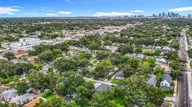a view of a park with large trees