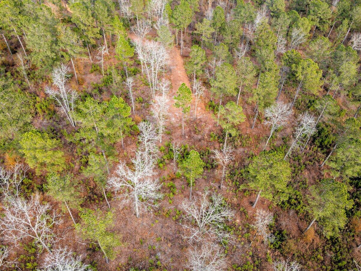 0 Deer Run Road, Unit C Williston, SC 29853 - Photo 16 of 21 Gallery Image 16