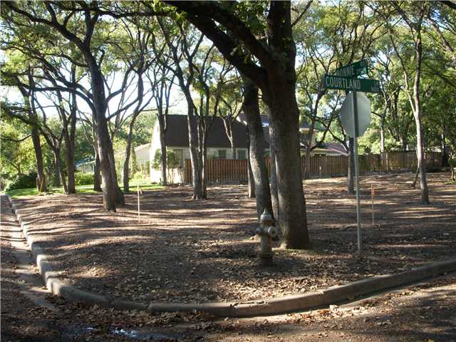 2900 Bonnie Road Austin, TX 78703 - Photo 1 of 1 a view of a yard with trees