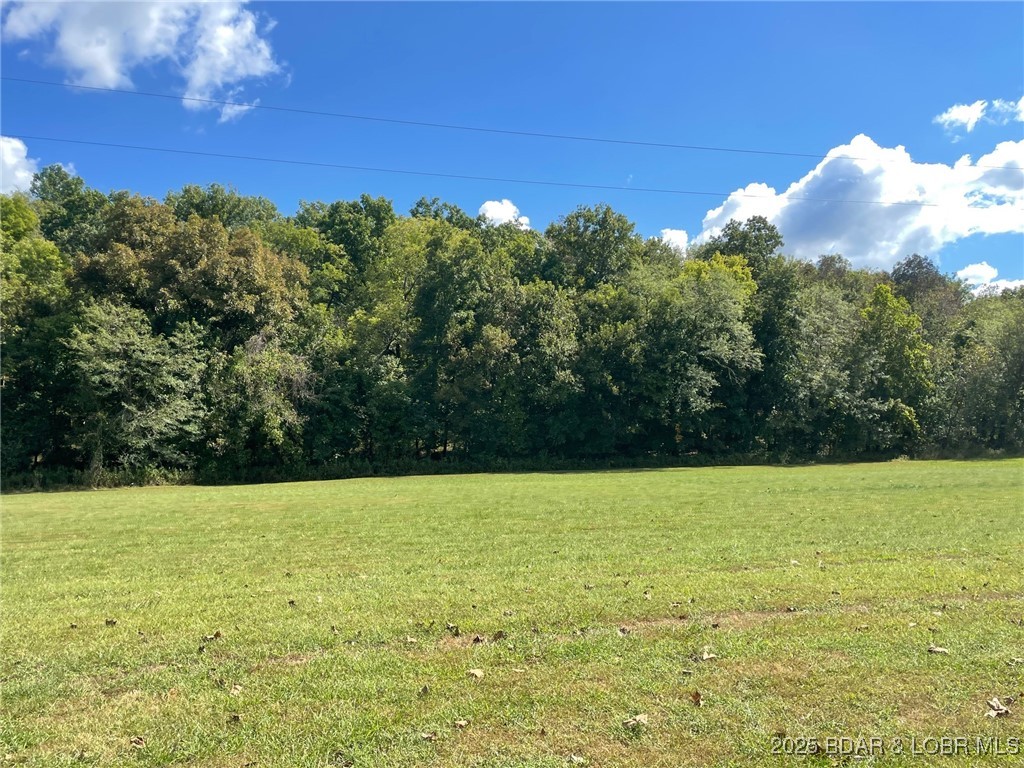 Lot 2751 Forte, Unit A2 Edwards, MO 65326 - Photo 15 of 24