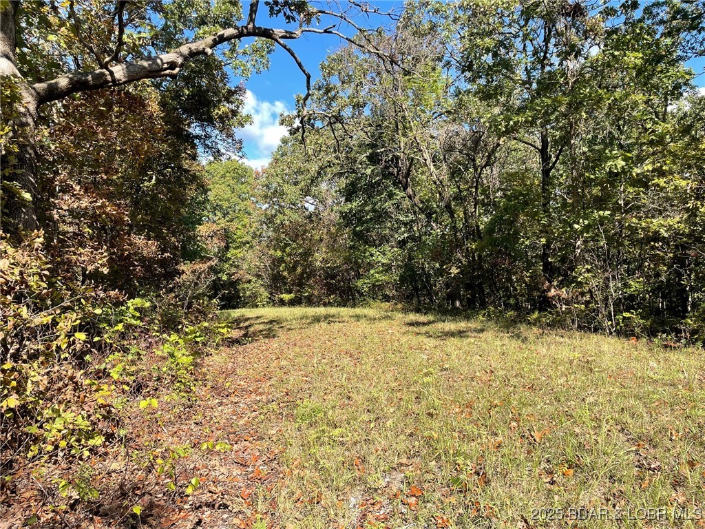 Lot 2751 Forte, Unit A2 Edwards, MO 65326 - Photo 20 of 24