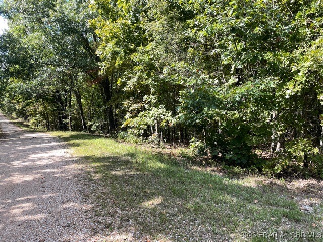 Lot 2751 Forte, Unit A2 Edwards, MO 65326 - Photo 22 of 24