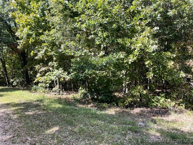 Lot 2751 Forte, Unit A2 Edwards, MO 65326 - Photo 23 of 24