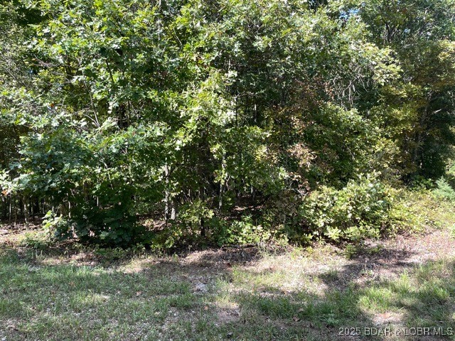 Lot 2751 Forte, Unit A2 Edwards, MO 65326 - Photo 24 of 24