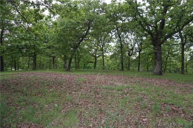 $7,500 | 2751 St Edwards Mo 65326, Unit A2, Edwards, MO 65326