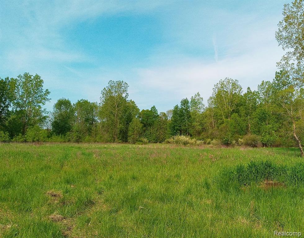 0 County Line Road Byron, MI 48418 - Photo 2 of 3