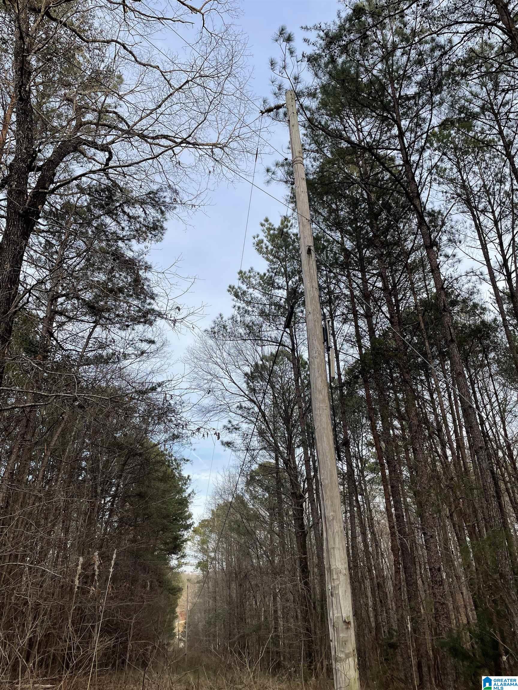 7-acres On Scott Road Montevallo, AL 35115 - Photo 19 of 24