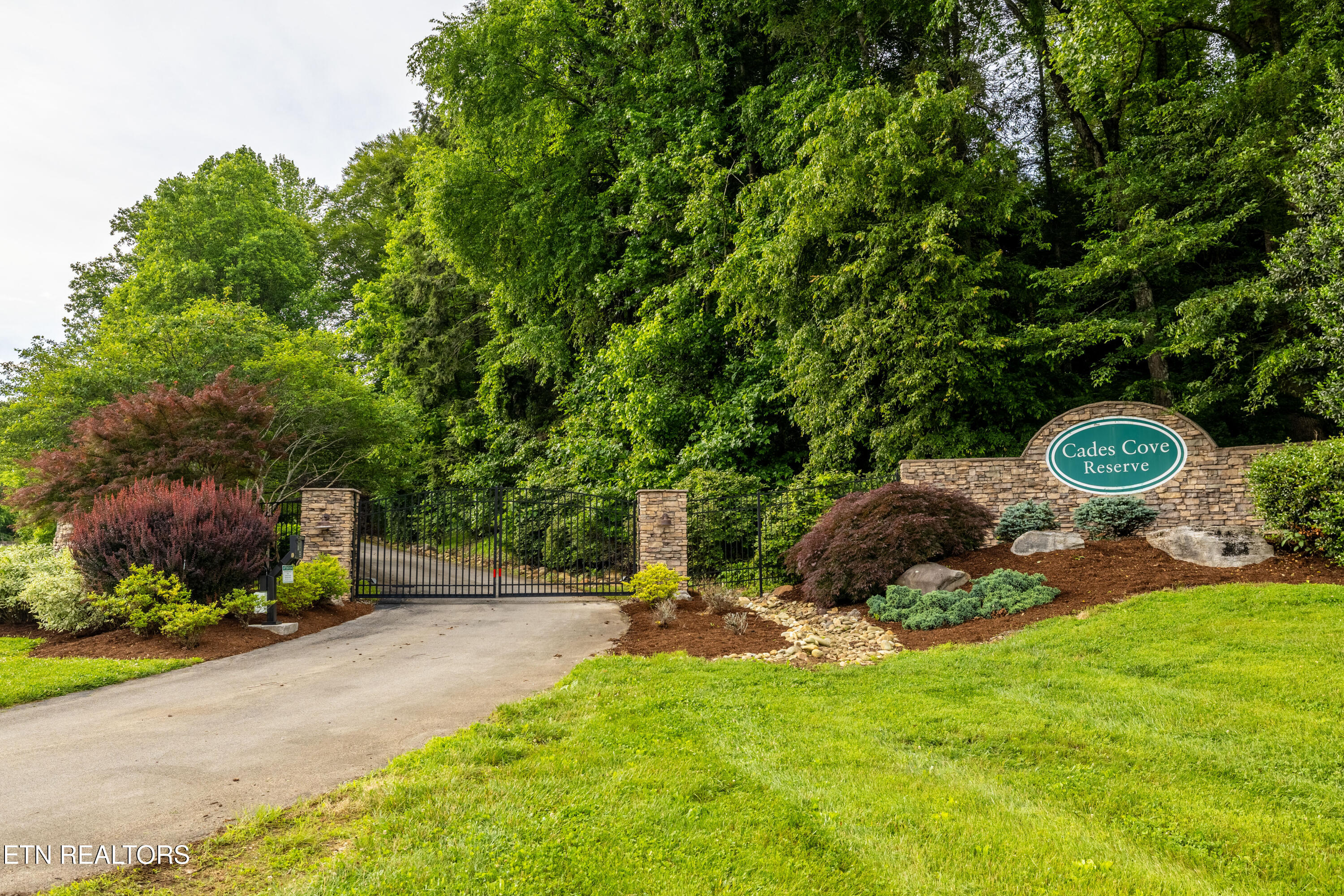 326 Shooting Star Loop, Unit 201 Townsend, TN 37882 - Photo 2 of 43 229BishopCapCir#102-1