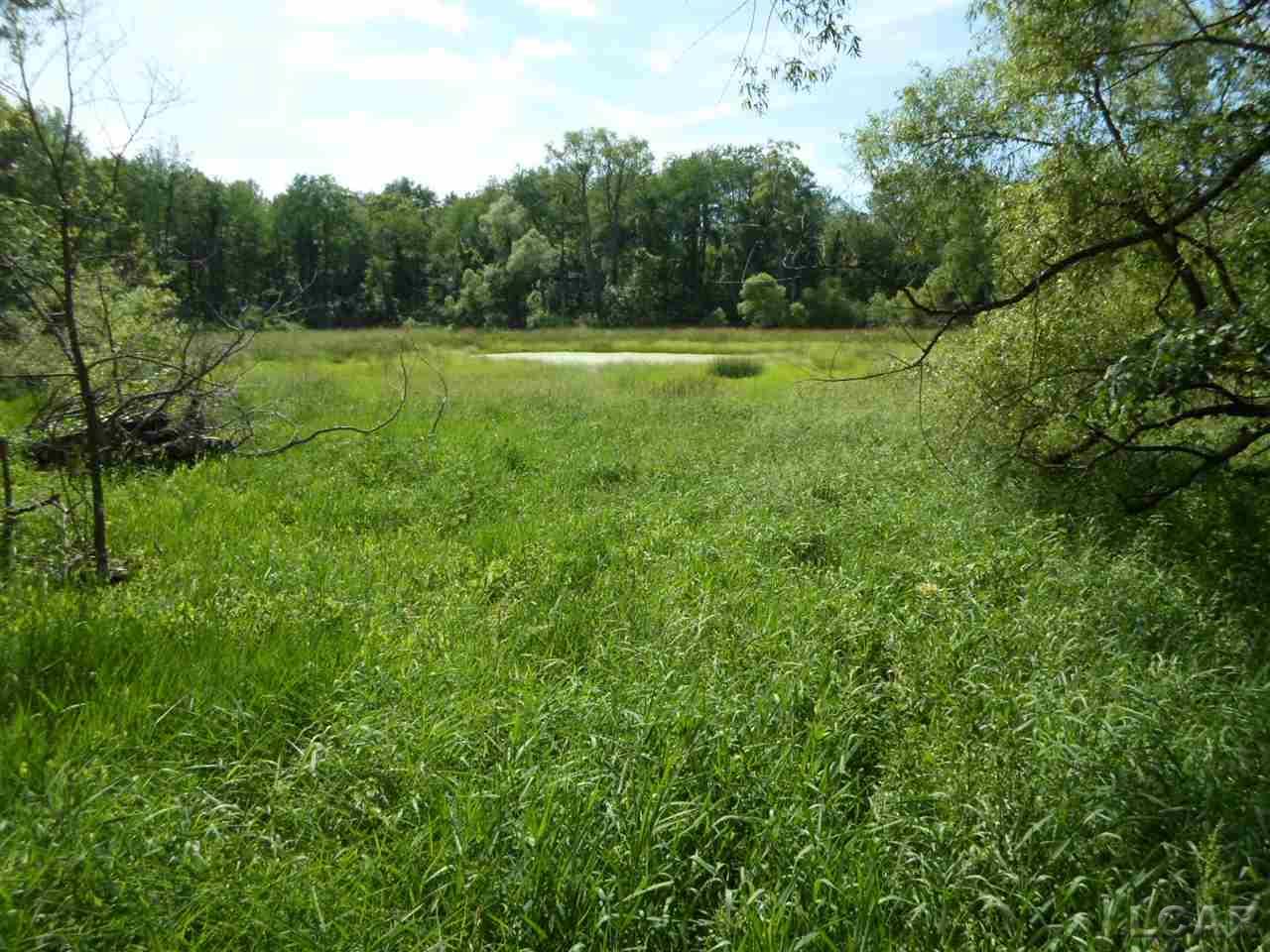 12000 Stephenson Road, Unit PARCEL A Brooklyn, MI 49230 - Photo 21 of 49