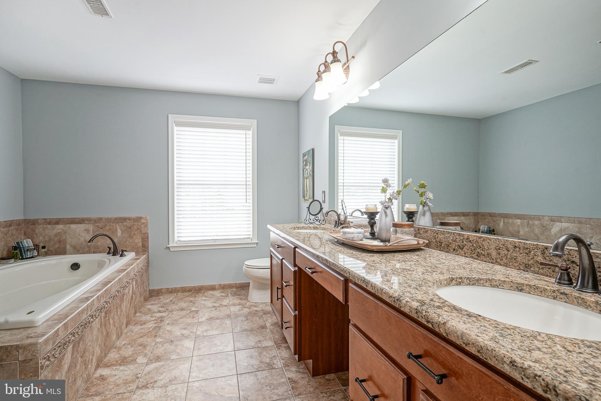 804 Chelsea Glenn Road Clarksboro, NJ 08020 - Photo 28 of 58 Double Granite Vanity-Walk-In Shower- Soaking Tub