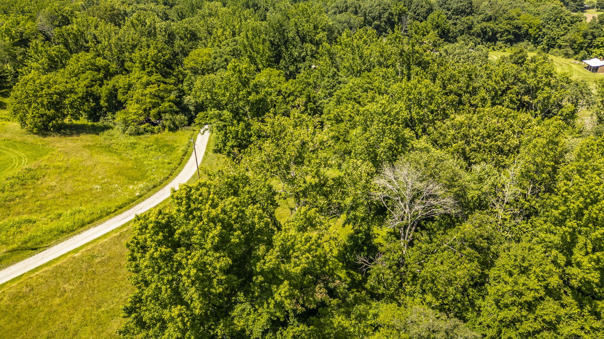 8326 Betts Road Greenbrier, TN 37073 - Photo 46 of 51