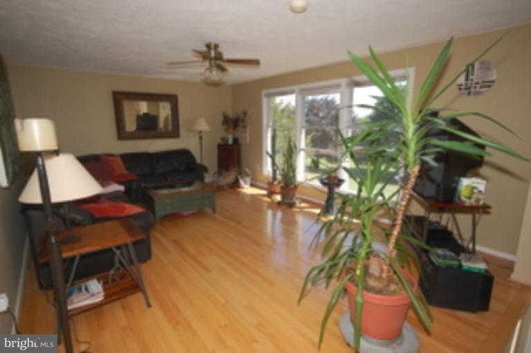 14143 Taylorstown Road Leesburg, VA 20176 - Photo 7 of 15 a living room with furniture and a potted plant