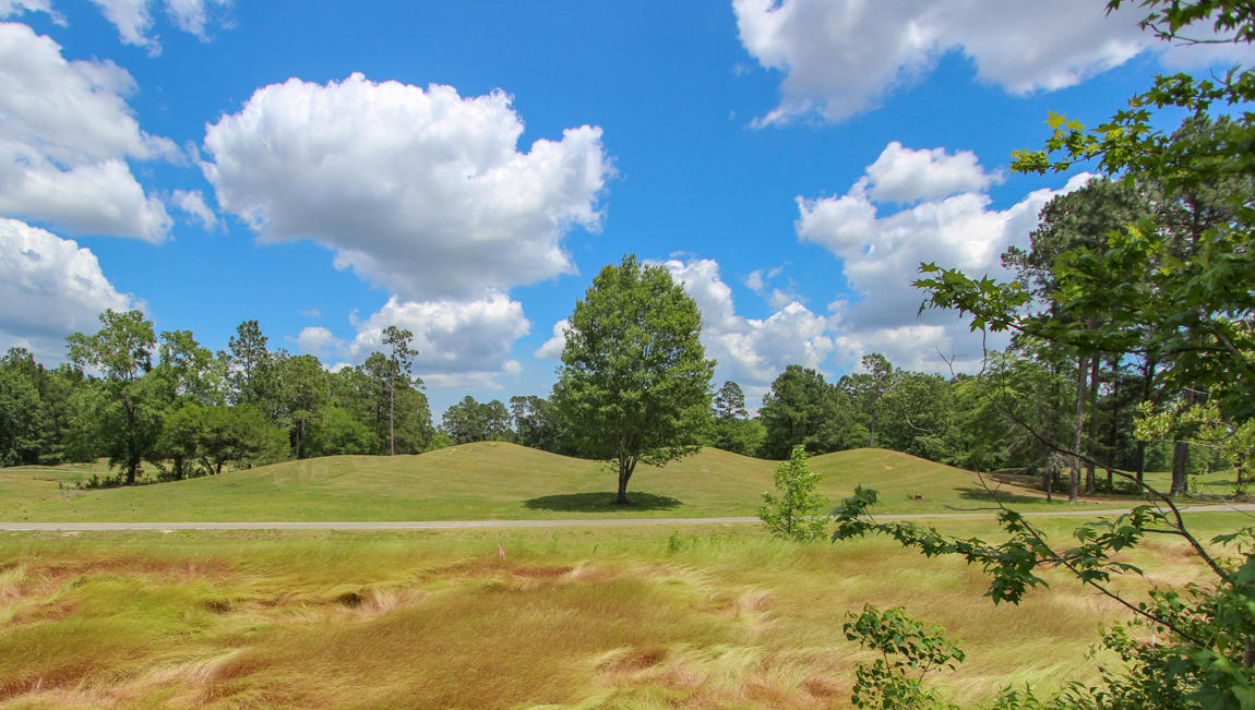 705 Kilarney Road Summerville, SC 29483 - Photo 26 of 31 Pine Forest Country Club (1 of 7)