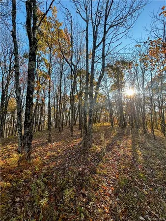 $1,250,000 | 596 Castle Mountain Road, Stamford, NY 12167