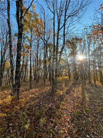 $1,250,000 | 596 Castle Mountain Road, Stamford, NY 12167