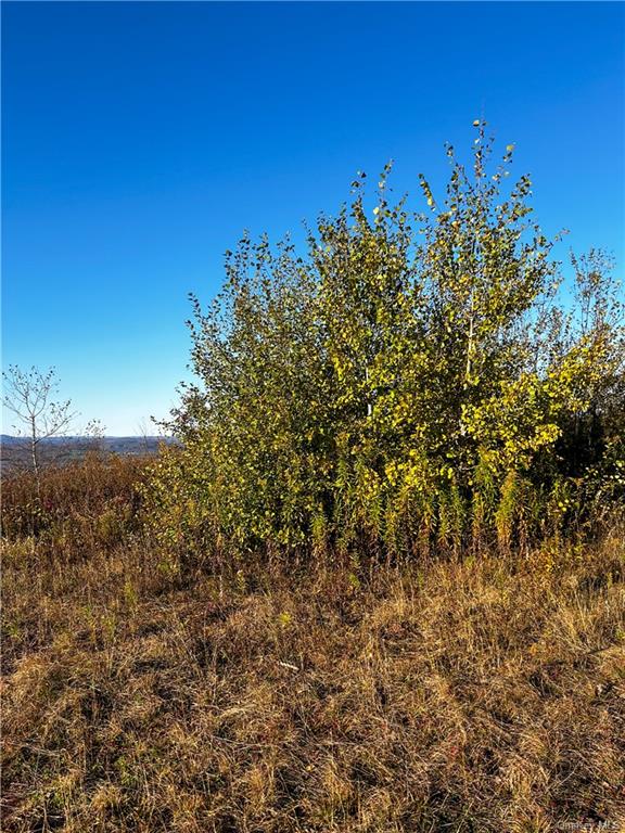 596 Castle Mountain Road Stamford, NY 12167 - Photo 12 of 14 View of landscape