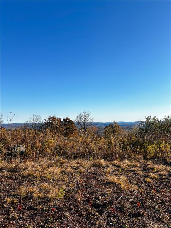 596 Castle Mountain Road Stamford, NY 12167 - Photo 13 of 14 View of landscape