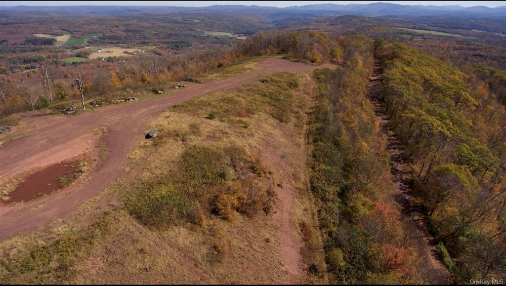 596 Castle Mountain Road Stamford, NY 12167 - Photo 14 of 14 Bird's eye view