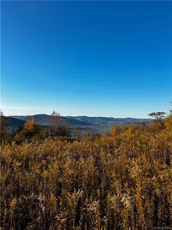 $1,250,000 | 596 Castle Mountain Road, Stamford, NY 12167