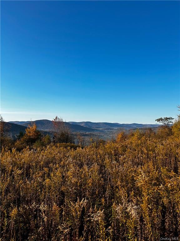 596 Castle Mountain Road Stamford, NY 12167 - Photo 2 of 14 Property view of mountains