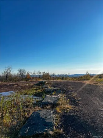 $1,250,000 | 596 Castle Mountain Road, Stamford, NY 12167