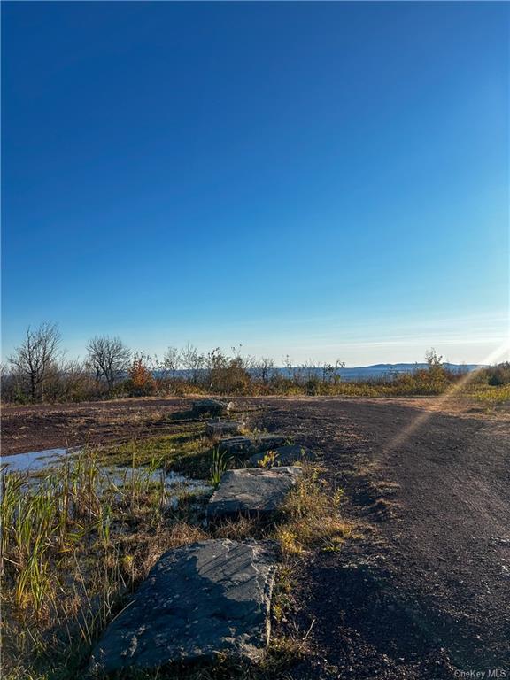 596 Castle Mountain Road Stamford, NY 12167 - Photo 4 of 14 View of yard