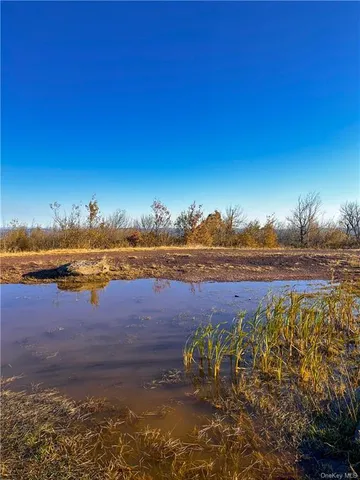 $1,250,000 | 596 Castle Mountain Road, Stamford, NY 12167