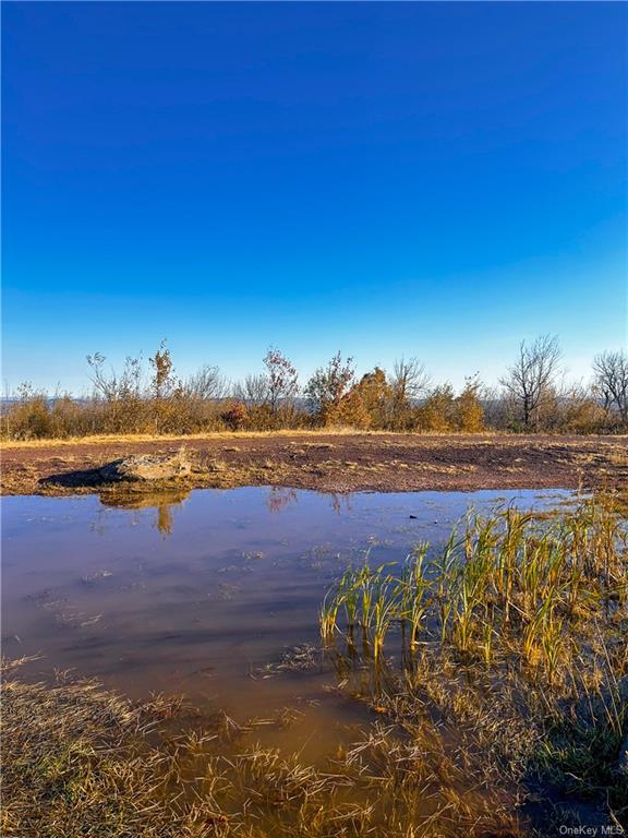 596 Castle Mountain Road Stamford, NY 12167 - Photo 5 of 14 Natural spring Water