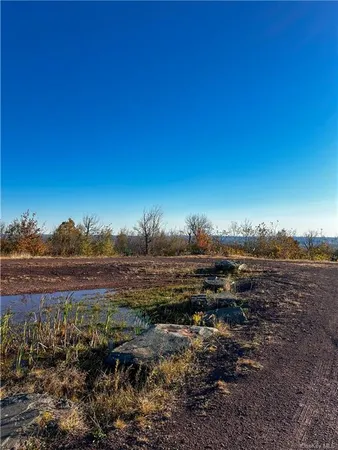 $1,250,000 | 596 Castle Mountain Road, Stamford, NY 12167