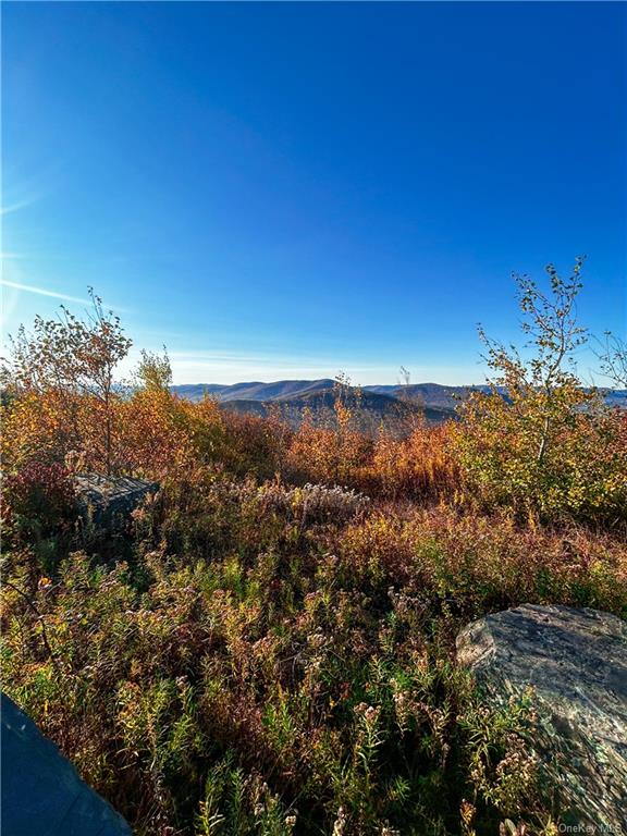 596 Castle Mountain Road Stamford, NY 12167 - Photo 7 of 14 View of mountain feature