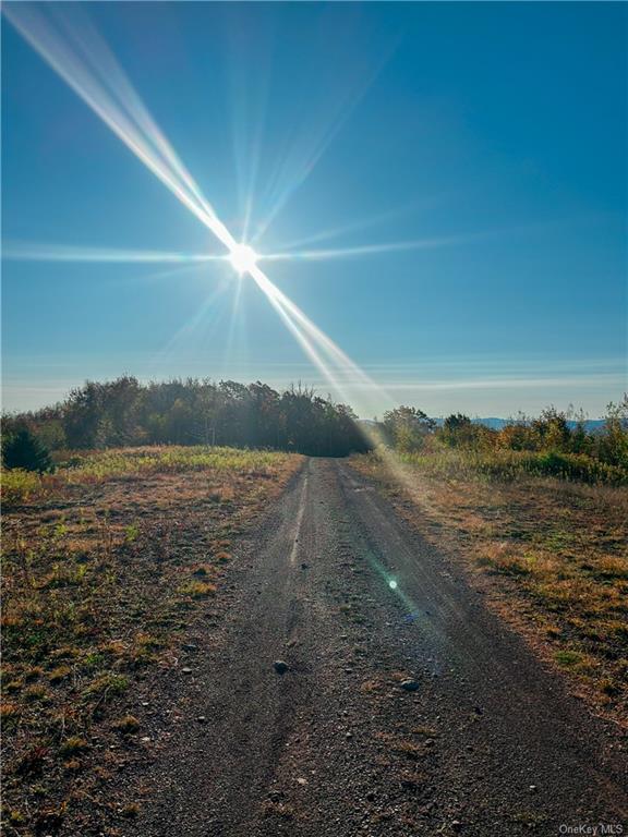 596 Castle Mountain Road Stamford, NY 12167 - Photo 8 of 14 View of street