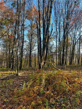 $1,250,000 | 596 Castle Mountain Road, Stamford, NY 12167