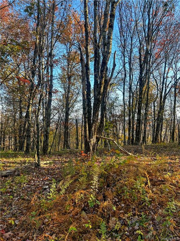 596 Castle Mountain Road Stamford, NY 12167 - Photo 9 of 14 View of landscape