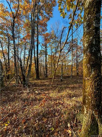 $1,250,000 | 596 Castle Mountain Road, Stamford, NY 12167