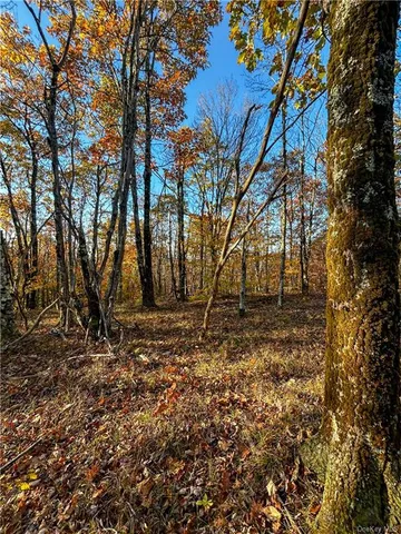 $1,250,000 | 596 Castle Mountain Road, Stamford, NY 12167