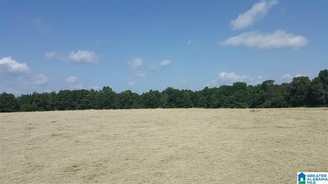 2330 Kemp Road Warrior, AL 35180 - Photo 3 of 5